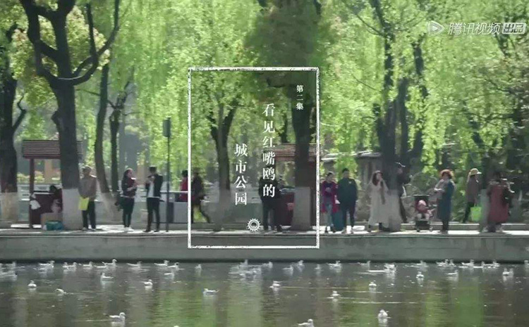 電影紀實72小時.jpg
